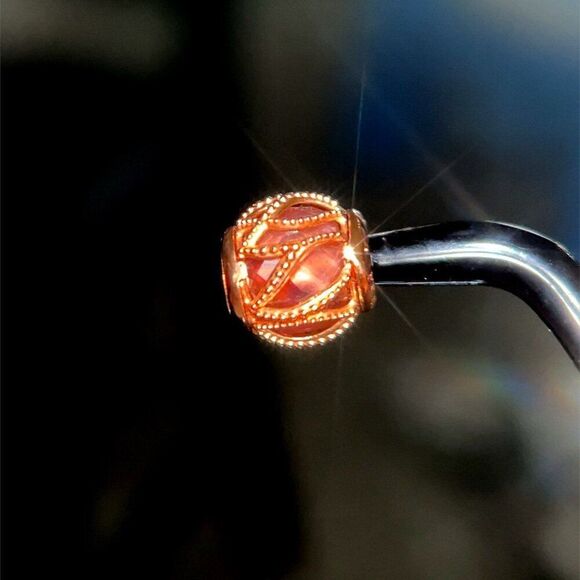 Pandora Rose Encased Charm - Picture 4 of 5